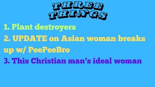 3 Things Plant destroyers Update on the Asian woman and PeePeeBro Ideal Christian woman [upl. by Halludba]