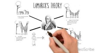 Theory of Evolution  Darwin Lamarck [upl. by Hedley]