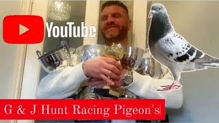 DissampDistrict Sleaford YB 2023 4th race basketing raceday amp result pigeon pigeonracing bosh [upl. by Maxma]