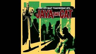 Jaya the cat  Night Bus [upl. by Ruamaj]