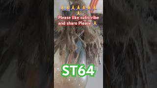 ST64 led filament bulb 💡 electrical electricaljob music electricalwork song shorts viralvideo [upl. by Jb503]