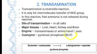 General Reactions of Amino Acid Metabolism [upl. by Ardnazxela]