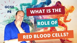 GCSE PE What is the role of red blood cells [upl. by Ganley]