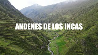 Los Incas y sus Andenes en Quero Junín [upl. by Ardnassak907]