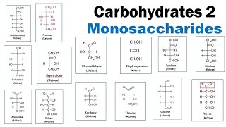 Monosaccharides  Aldoses  Ketoses  Triose  Pentose  Hexose  Dr Ghanshyam Jangid [upl. by Nirred683]