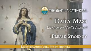 Daily Mass at the Manila Cathedral  November 20 2024 1210pm [upl. by Seugirdor]