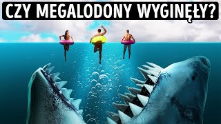 15 faktów o Megalodonie od których odechce ci się pływania w oceanie [upl. by Onez367]