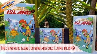 Tinas adventure island un Wonderboy sous Lexomil sur MSX [upl. by Airdnas]