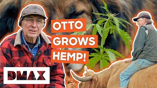 Otto Kilcher Grows Hemp On The Homestead  Alaska The Last Frontier [upl. by Capriola576]