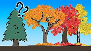 The Real Reason Leaves Change Color In the Fall [upl. by Idnek142]