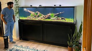 XXL NATURE AQUARIUM BUILD  FULL STEP BY STEP [upl. by Aihsema]