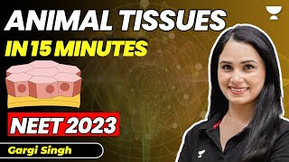 Animal Tissue in 15 Minutes  20 marks pakke  Biology  NEET 2023  Gargi Singh [upl. by Eniamahs]