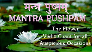 Mantra Pushpam  Yopaam Pushpam Veda  Vedic Chant offer flowers to God with devotion  Yajur Veda [upl. by Silsbye]