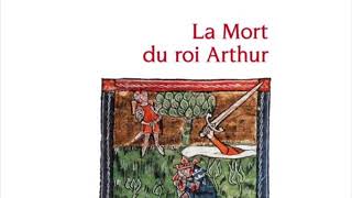 CAPES LETTRES MODERNES  Mes fiches sur La Mort du Roi Arthur 👑 [upl. by Ennoira]