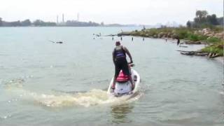 1997 Sea Doo GSX 2 seater jet ski in water demonstration [upl. by Icken861]