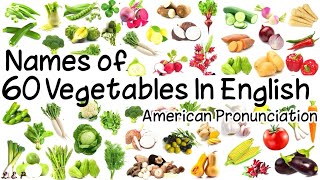 Learn Vegetables Vocabulary With Pictures English American Pronunciation US Names of 60 Vegetables [upl. by Lecia75]