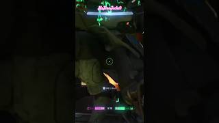 Right in the Nuts haloinfinite halo gaming haloinfinitemultiplayergameplay halocontent [upl. by Yleme8]