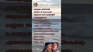 സ്നേഹത്തിൽ പൂഞ്ചോല തീരത്തിൽ നാമെത്തും  pappayude swantham appoos movie songlyrics trendingshorts [upl. by Ahsimin973]