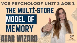 VCE Psychology Unit 3 AOS 2 The Multistore Model of Memory AtkinsonShiffrin [upl. by Wasserman]