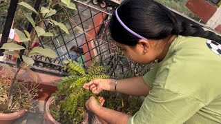 Shivani ne kitchen m aag lga di 😮 😱🔥Divya puri vlog 40 trending dailyvlog sisters [upl. by Denna]