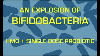 How to grow Bifidobacterium with only one dose of probiotic and HMO [upl. by Aneem]