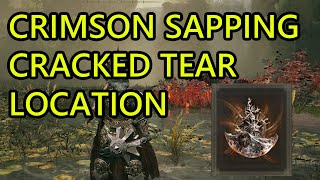 Crimson Sapping Cracked Tear Location Elden Ring DLC Shadow of the Erdtree [upl. by Etra]