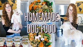 HOMEMADE  HEALTHY DOG FOOD RECIPE  COOKING FOR YOUR DOG🐶 [upl. by Peggir]