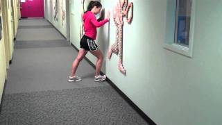 Plantar Fasciitis The All Important Wall Stretch [upl. by Bleier461]