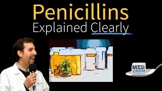 Penicillins  Antibiotics Explained Clearly [upl. by Aurea756]