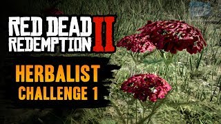 Red Dead Redemption 2 Herbalist Challenge 1 Guide  Pick 6 Yarrow [upl. by Strawn]