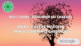 Challenge  rééquilibrer ses chakras5 min de cohérence cardiaque chakra du coeur  JOUR 4😍 [upl. by Schreck884]