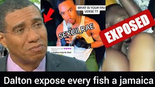 Dalton harris exposed Gy lifestyle in Jamaica  Andrew Holness name call up [upl. by Adyl]