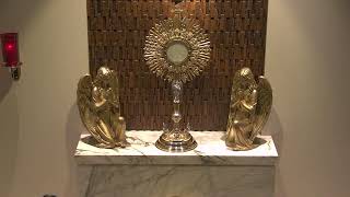 Adoration at Our Lady of Guadalupe Sacred Adoration Live Stream [upl. by Lav]