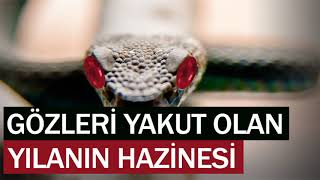 GÖZLERİ YAKUT OLAN YILANIN HAZİNESİ ibretlik hikayeler sesli kitap dini hikayeler hüseyin duru [upl. by Stallworth]