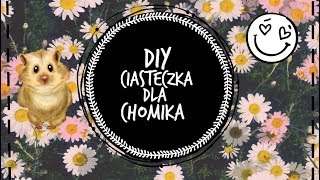 DIY  Ciasteczka dla chomika [upl. by Eiral]