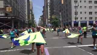 Pride ParadeNYC2014FlaggotsNYCParadelifecom [upl. by Ralat]