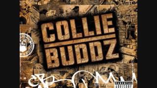 collie buddz Mamacita [upl. by Meridith]