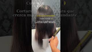 CALENDARIO LUNAR NOVIEMBRE 2023  que días cortar tu cabello para que crezca más Rapido haircut [upl. by Llertnek]