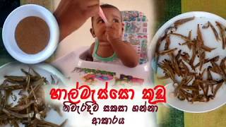 හාල්මැස්සො කුඩු සාදා ගන්නා ආකාරය Dried sprats powder [upl. by Bernadine]