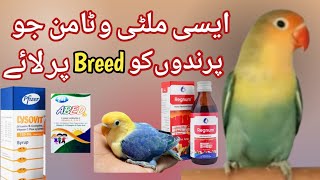 Best Breeding Multivitamins for birds  cheap breeding multivitamins for Lovebirds love4birds [upl. by Yahs]