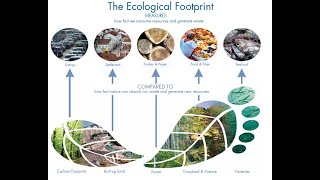 ECOLOGICAL FOOTPRINT ANALYSIS [upl. by Aicemat]