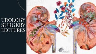 UROLOGY SURGERY lecture 12 INJURIES TO MALE URETHRA with anatomty revision and easy understanding [upl. by Einahpats]