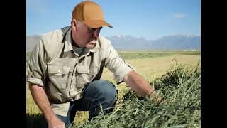 The Basics of Haymaking  John Deere Tips Notebook [upl. by Cranston]