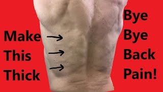 Erector Spinae Muscles Exercises [upl. by Shawnee]