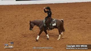 Hazardouz Material Erin Taormino Snaffle Bit Futurity Open Bridle Finals 2022 [upl. by Eslehc1]