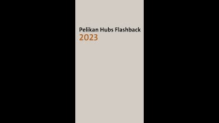 Pelikan Hubs 2023  Flashback [upl. by Nnylcaj79]