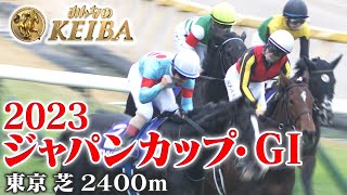 【ジャパンカップ・GⅠ】ジャパンカップ 2023 レース 王者が歴史的決戦を制す！世界最強馬イクイノックスGⅠ 6連勝 【みんなのKEIBA】 [upl. by Frodi]