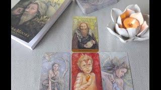 Deck Review Tarot of the Hidden Realm [upl. by Anerac]