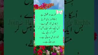 عورت وہ مخلوق flute music cover ringtone recorder quotes ncsringtone musiclove poetry noco [upl. by Saalocin]