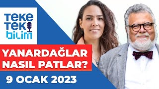 Yanardağlar nasıl patlar Prof Dr Celal Şengör amp Dr Nalan Lom  Teke Tek Bilim [upl. by Coralie]